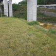公園の下は斜面
