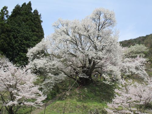 佛隆寺４