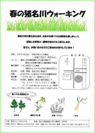 春の猪名川ウォーキング 春の猪名川ウォーキング