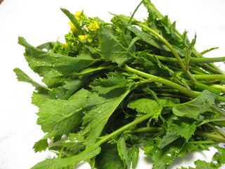 西洋カラシ菜 西洋カラシ菜
