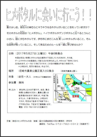 ヒメボタルに会いに行こう