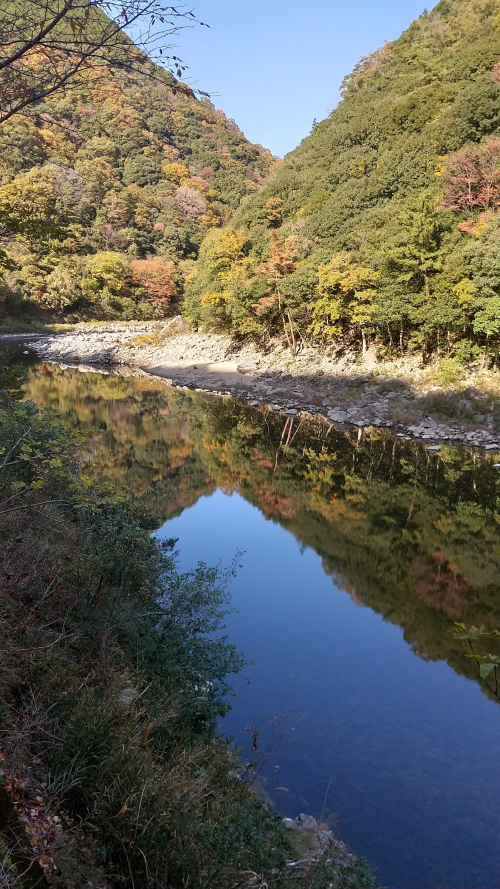 廃線敷ハイク