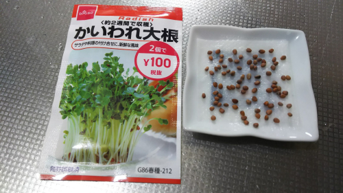 1日目 1日目