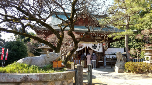 Hijioka2