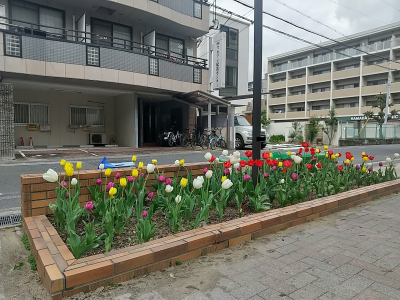 Tulip2023 Tulip2023