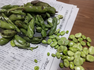 Soramame