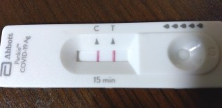 Covid19 陽性 Covid19 陽性