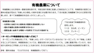 食育だより　中学校7月