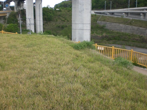 公園の下は斜面